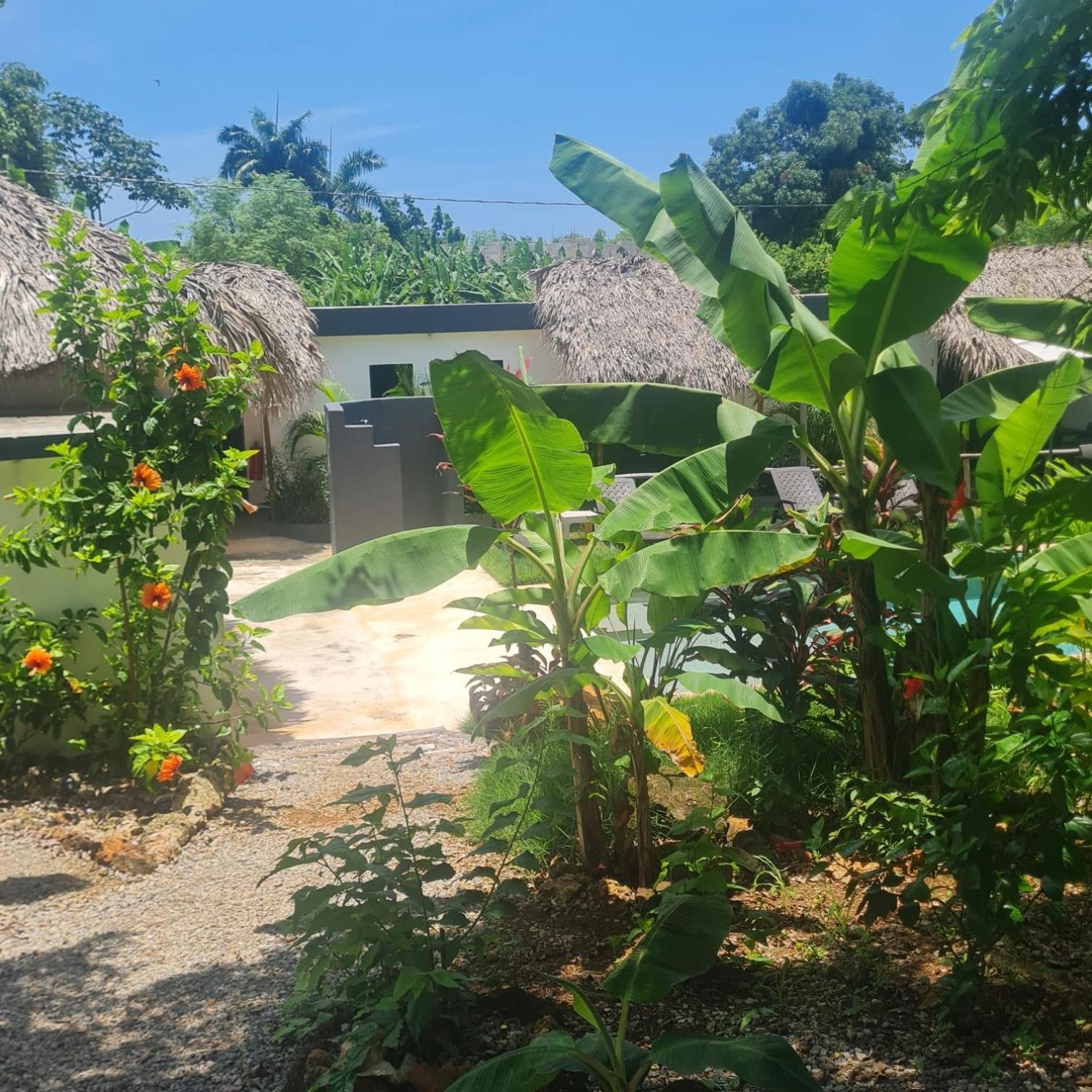 Bungalows Colibri ラス・ガレラス エクステリア 写真