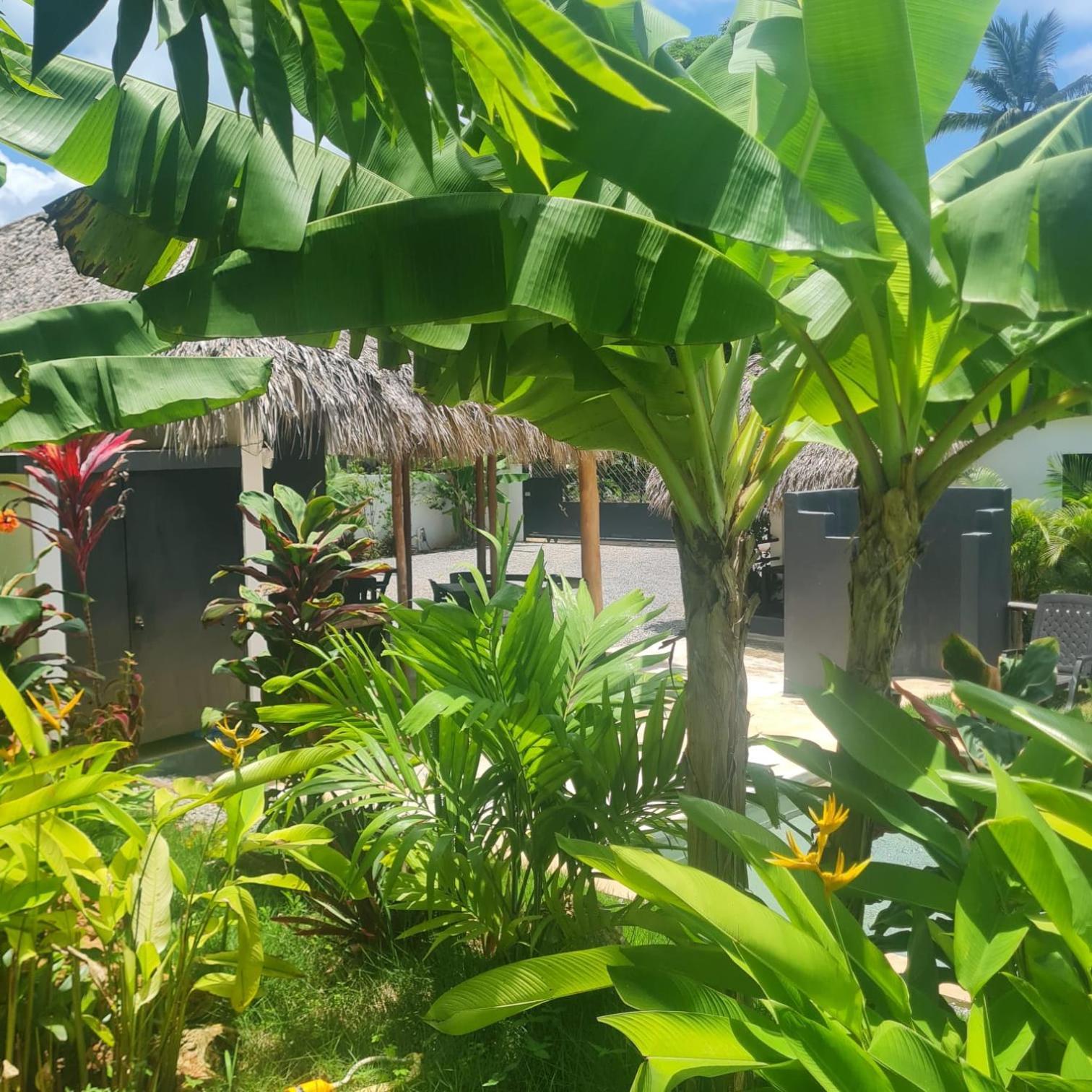 Bungalows Colibri ラス・ガレラス エクステリア 写真