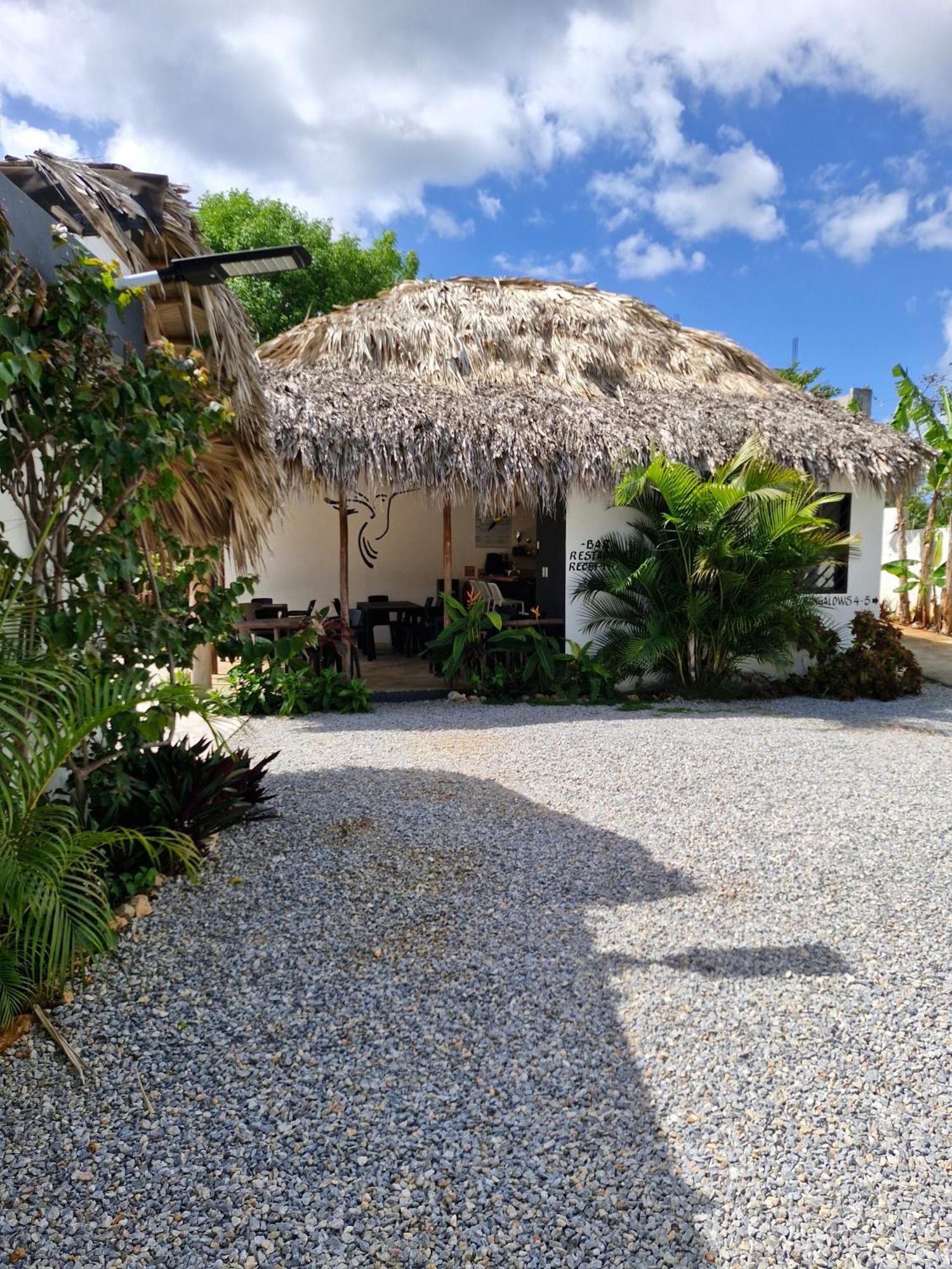Bungalows Colibri ラス・ガレラス エクステリア 写真